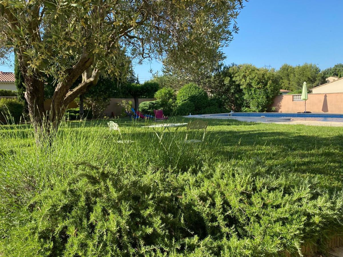 Villa Et Maisonnette Provencales Carpentras Buitenkant foto