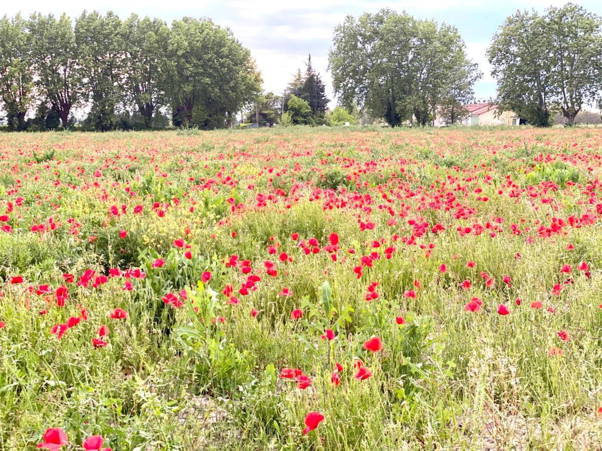 Villa Et Maisonnette Provencales Carpentras Buitenkant foto