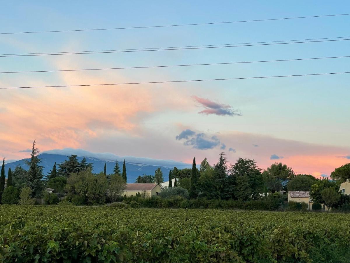 Villa Et Maisonnette Provencales Carpentras Buitenkant foto